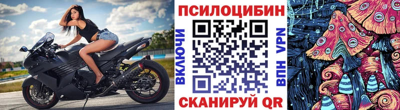 Псилоцибиновые грибы Cubensis  Волхов 